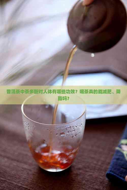 普洱茶中茶多酚对人体有哪些功效？喝茶真的能减肥、降脂吗？