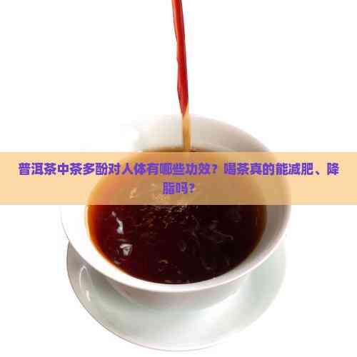 普洱茶中茶多酚对人体有哪些功效？喝茶真的能减肥、降脂吗？