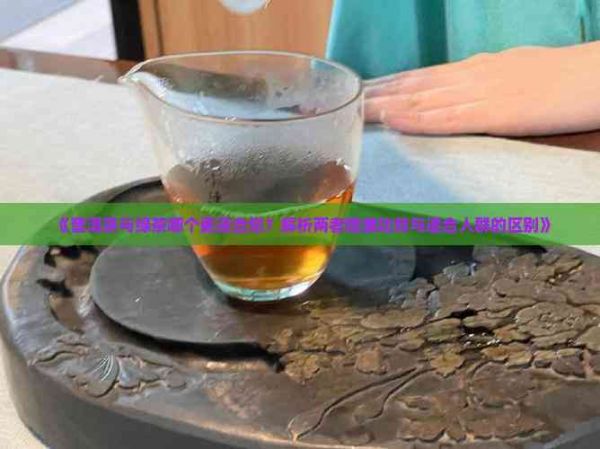 《普洱茶与绿茶哪个更适合您？解析两者健康功效与适合人群的区别》