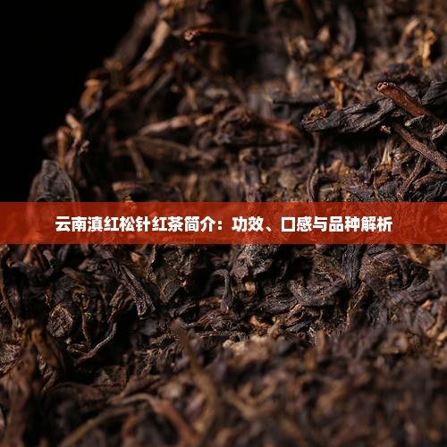 云南滇红松针红茶简介：功效、口感与品种解析