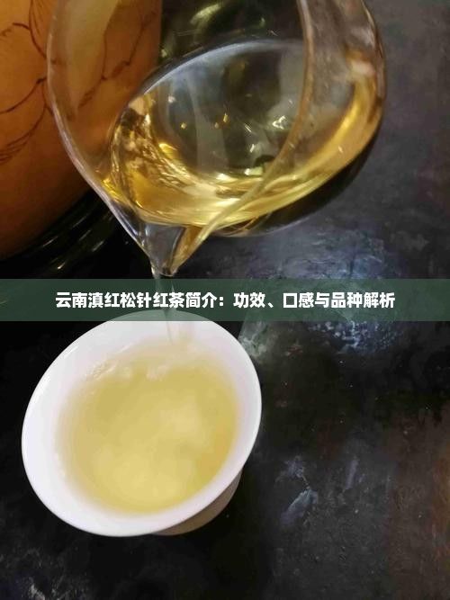 云南滇红松针红茶简介：功效、口感与品种解析