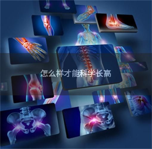 怎么样才能科学长高
