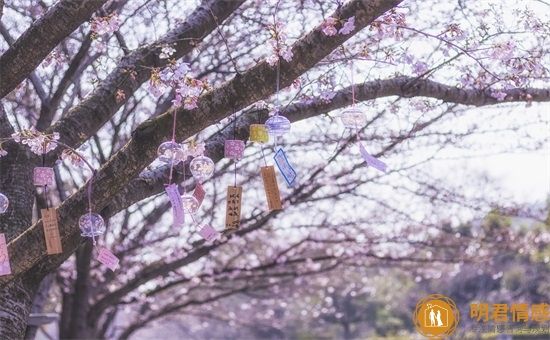 柠檬水的功效与禁忌,喝柠檬水需要注意什么?