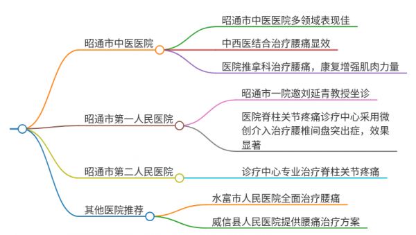 2025年云南昭通治疗腰痛的医院有哪些