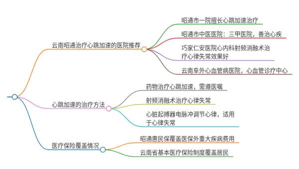 2025年云南昭通治疗心跳加速的医院有哪些