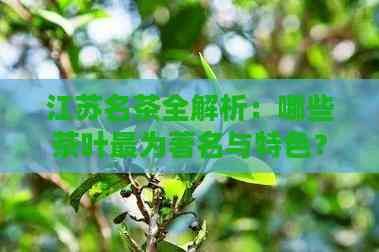 江苏名茶全解析：哪些茶叶最为著名与特色？