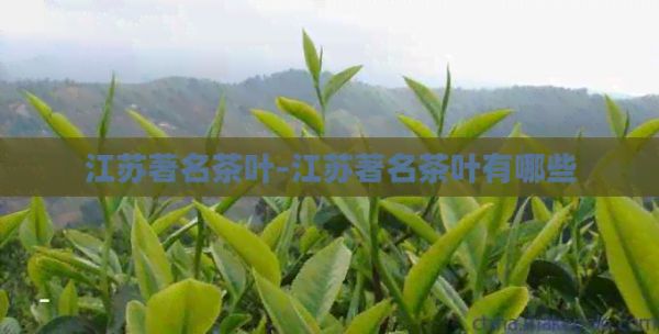 江苏著名茶叶-江苏著名茶叶有哪些