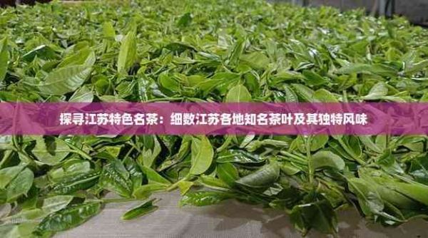 探寻江苏特色名茶：细数江苏各地知名茶叶及其独特风味