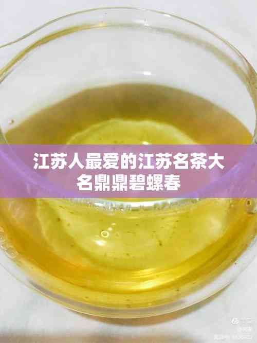 江苏人最爱的江苏名茶大名鼎鼎碧螺春