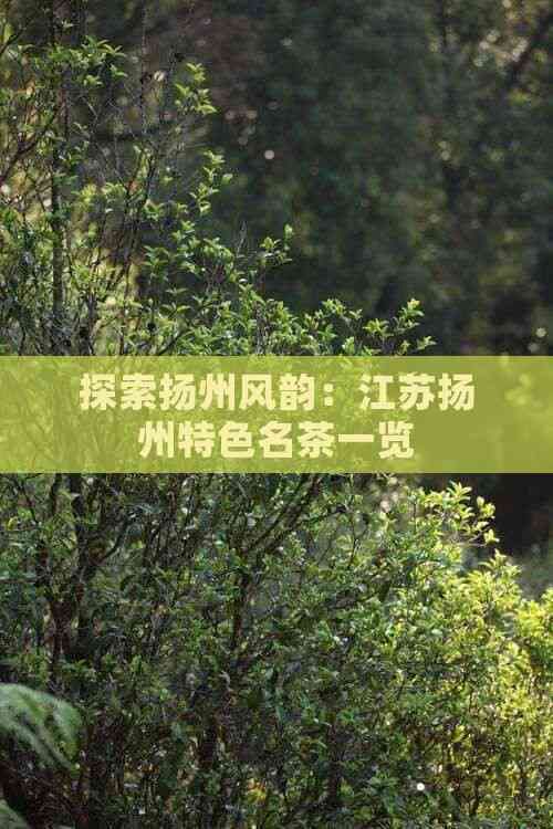 探索扬州风韵：江苏扬州特色名茶一览