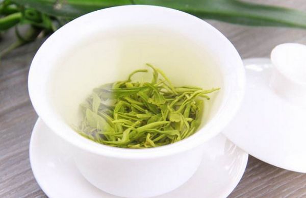 马陵春芽.png