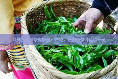 江苏熟普洱茶有哪些：产地、熟食及茶叶品种一览
