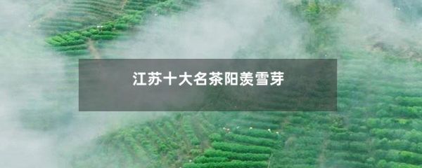 江苏十大名茶阳羡雪芽-第1张-茶叶知识-凤凰单丛茶网