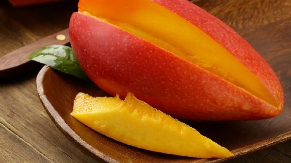 什么含高蛋白的食物最高