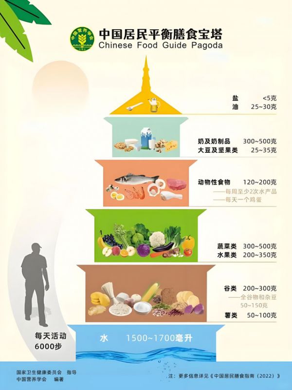 中国居民平衡膳食宝塔