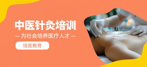 中医针灸学习班