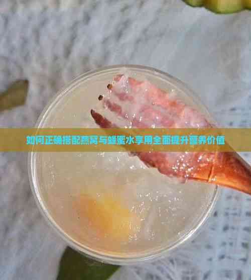 如何正確搭配燕窩與蜂蜜水享用全面提升營養(yǎng)價值