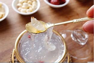 燕窩蜂蜜搭配指南：探究更佳燉煮水質(zhì)選擇與滋補(bǔ)效果