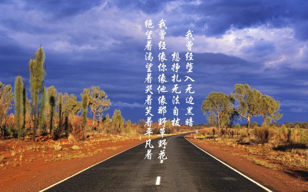 女生瘦腿运动全攻略：有效减脂塑形指南