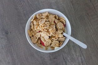 探索豆制品餐饮品牌之路，美味与健康并行