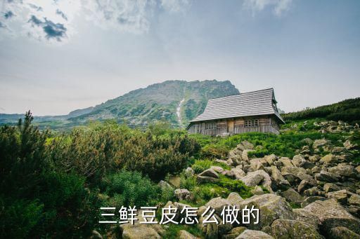 三鲜豆皮怎么做的