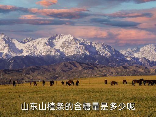 山东山楂条的含糖量是多少呢