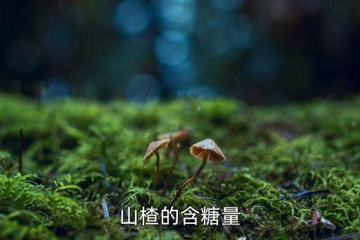 山楂的含糖量