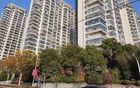 上海郊区的标杆小区，迟早都要暴跌