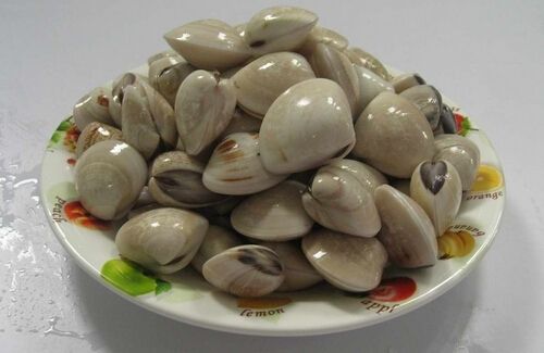 螺的热量及功效与作用2