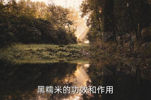 黑糯米的功效和作用