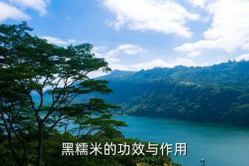 黑糯米的功效与作用