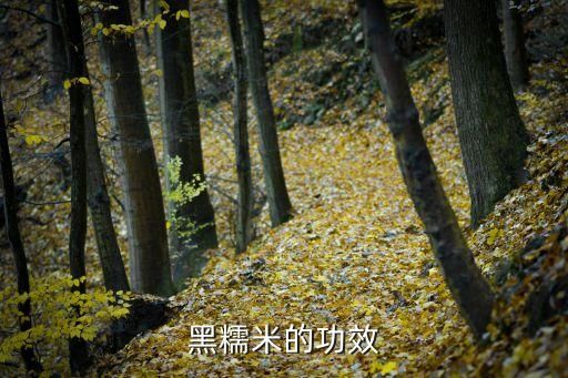 黑糯米的功效