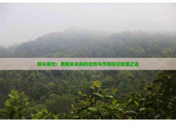 糯米茶饮：黑糯米米茶的功效与作用探究健康之道
