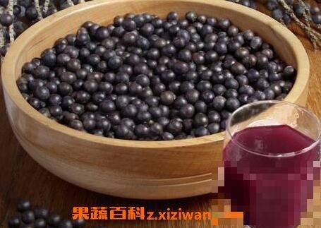 巴西莓葡萄籽的功效与作用