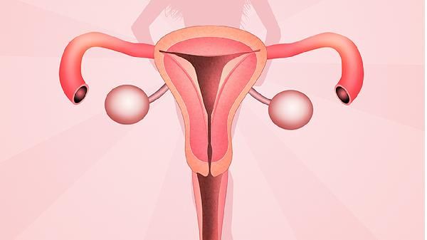 50岁女性子宫异常出血，竟是因为子宫肌瘤！