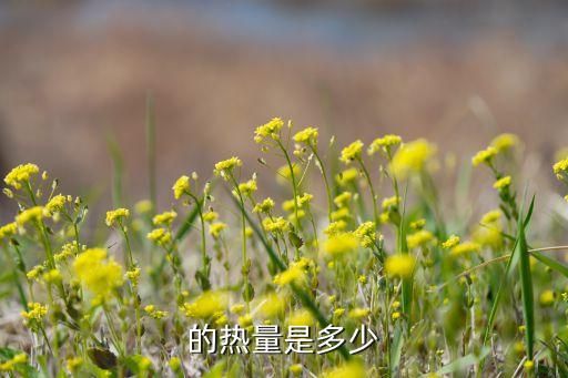 的热量是多少