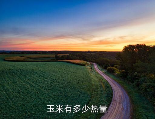 玉米有多少熱量