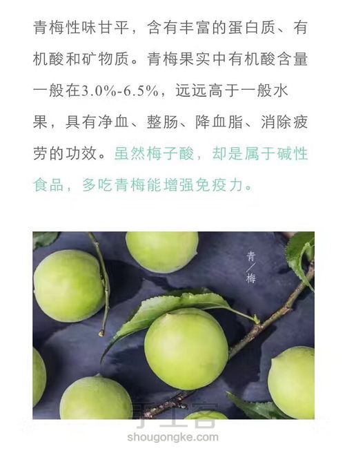 酸甜减肥梅子酱 第1步