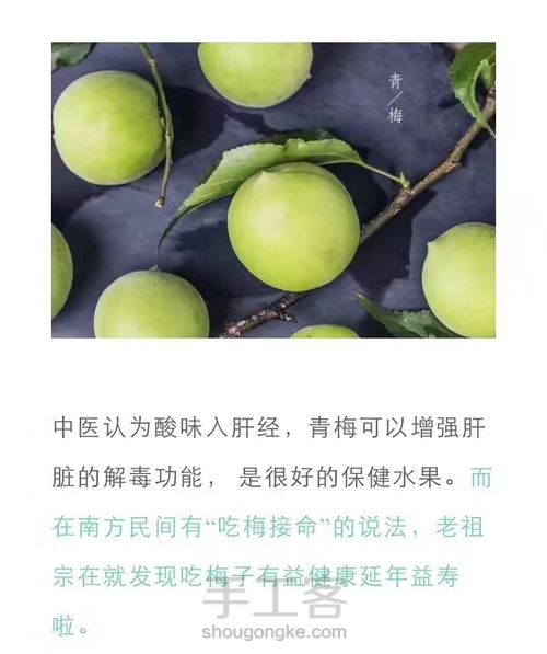 酸甜减肥梅子酱 第5步