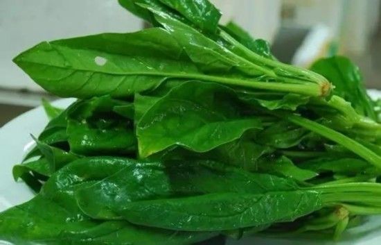 人生最重要的十大健康食物