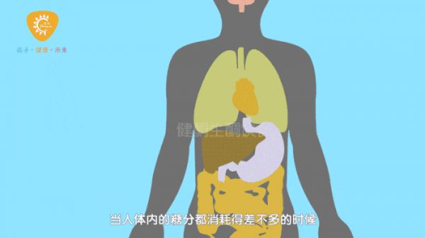 如何檢測生酮飲食產(chǎn)生的酮體? 看這篇就夠了!