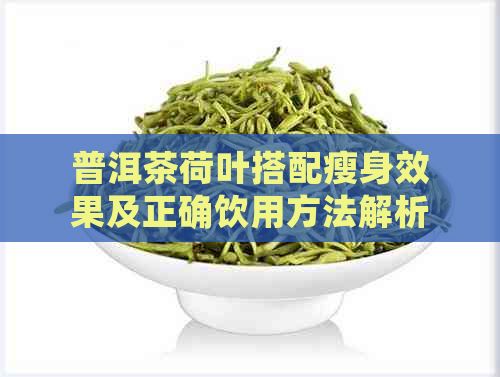 普洱茶荷叶搭配瘦身效果及正确饮用方法解析