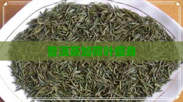 普洱茶加荷叶瘦身