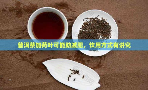 普洱茶加荷叶可能助减肥，饮用方式有讲究