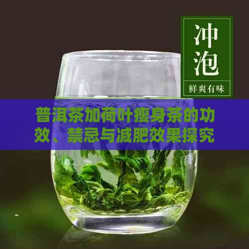 普洱茶加荷叶瘦身茶的功效、禁忌与减肥效果探究