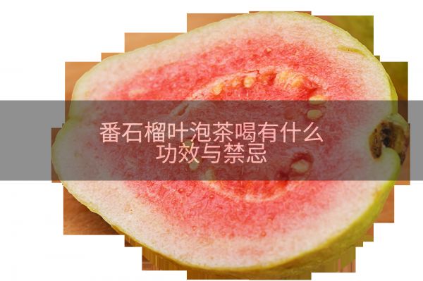 番石榴叶泡茶喝有什么功效与禁忌