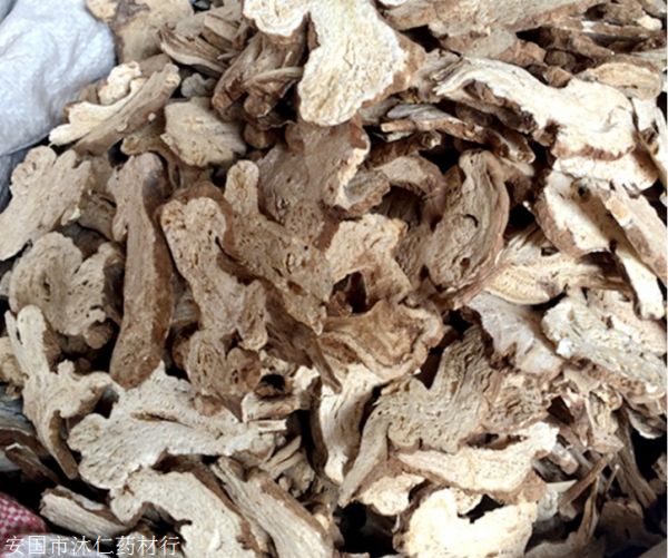 新闻：杜尔伯特番石榴叶哪里能买到（番石榴叶）多少钱一斤按方抓药