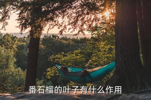 番石榴的叶子有什么作用