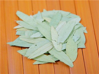 番泻叶的副作用有哪些 揭晓番泻叶的副作用