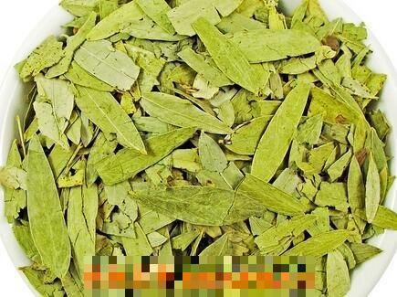 番泻叶的药用价值与功效